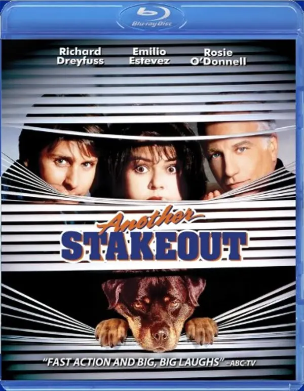 Another Stakeout cover
