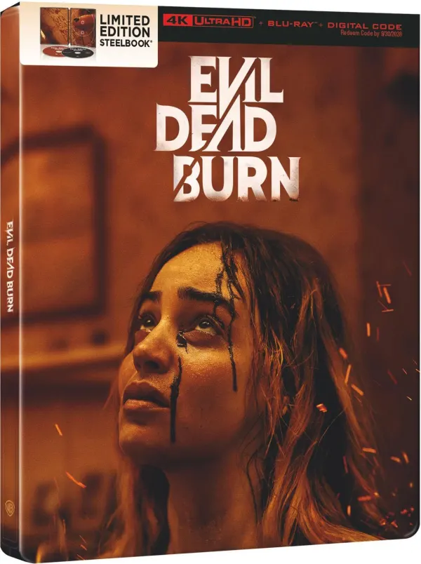 Evil Dead Burn cover