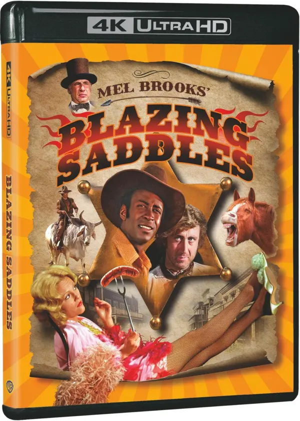 Blazing Saddles cover