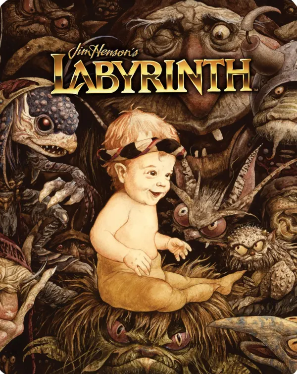 Labyrinth cover