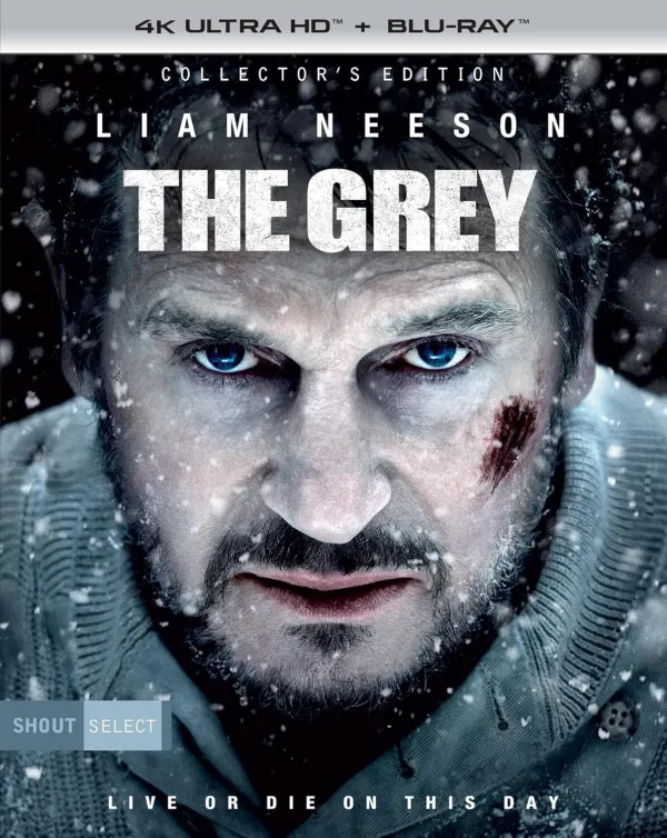 The Grey cover