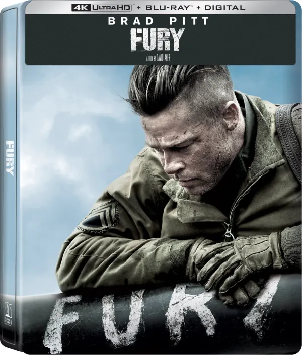 Fury cover