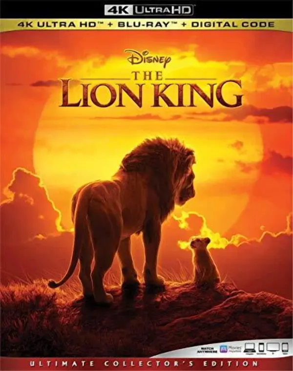 The Lion King cover
