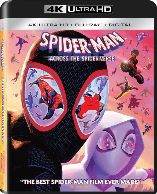 Spider-Man: Across the Spider-Verse cover