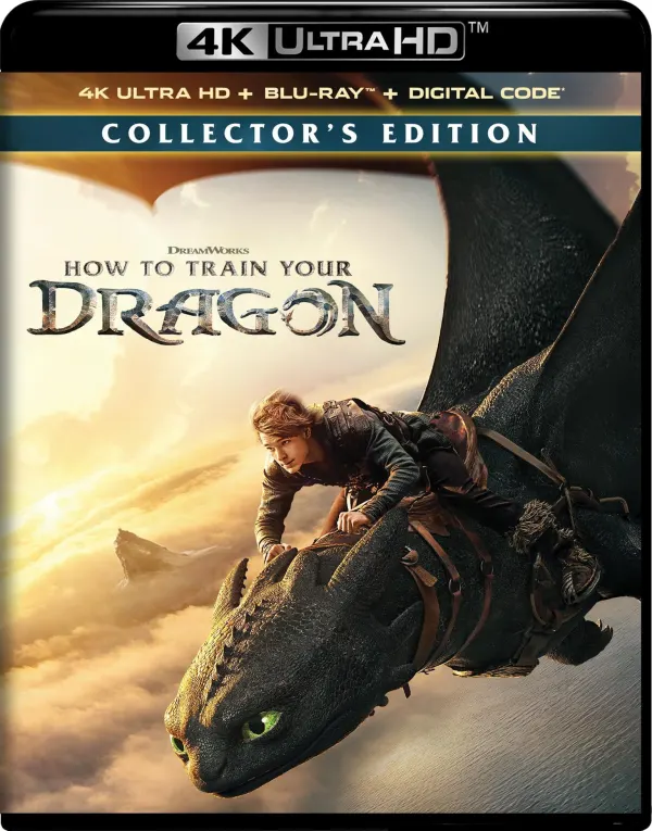 How to Train Your Dragon cover