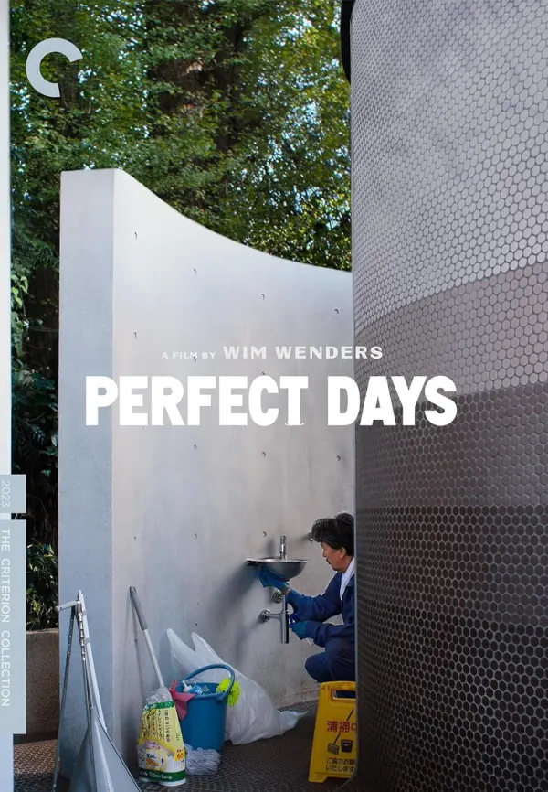 Perfect Days cover