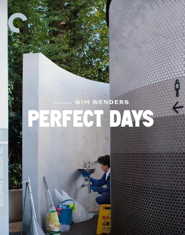 Perfect Days cover