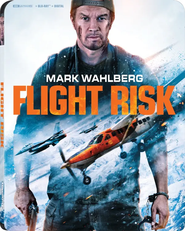 Flight Risk cover