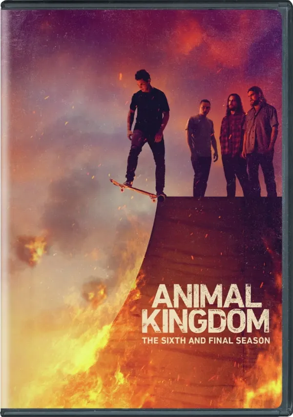 Animal Kingdom cover