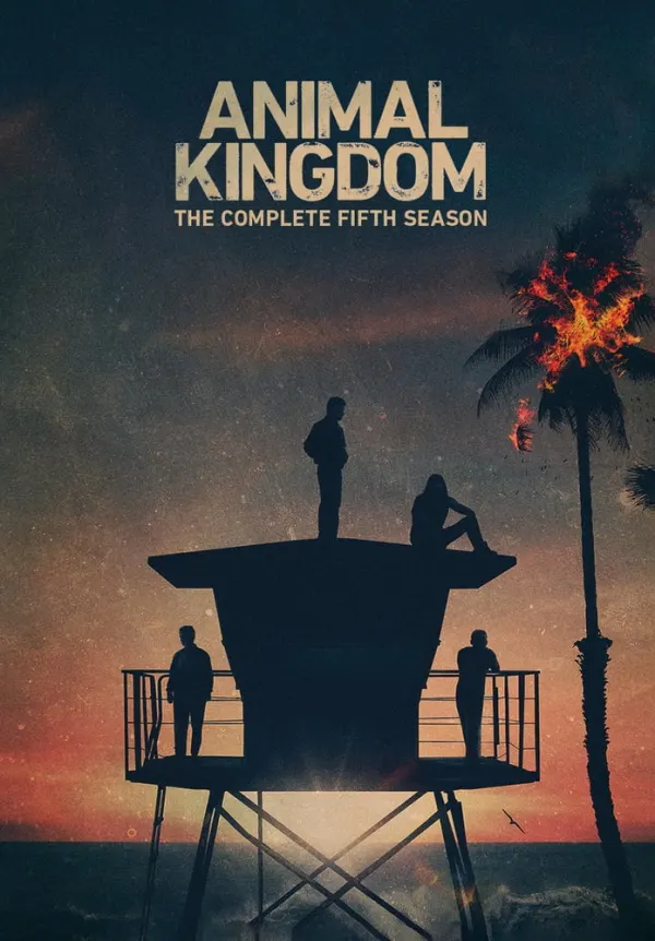Animal Kingdom cover