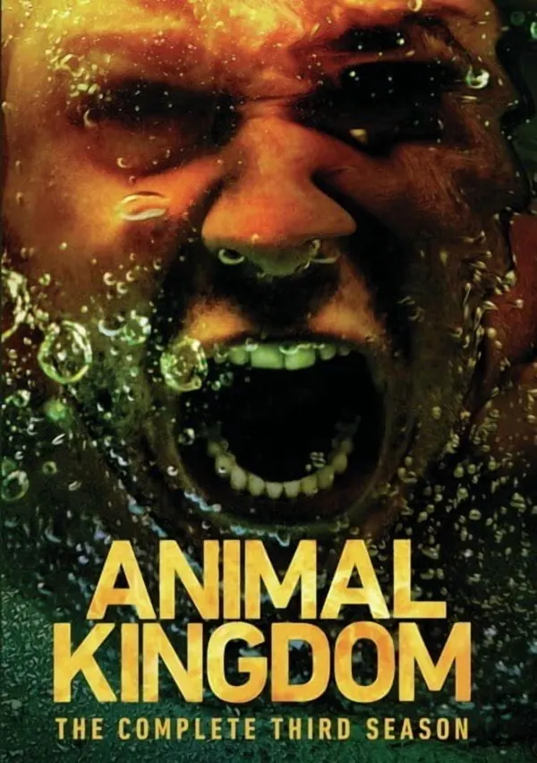 Animal Kingdom cover