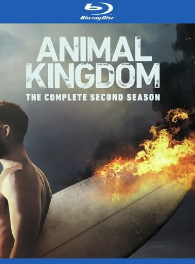 Animal Kingdom cover