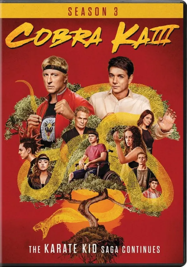 Cobra Kai cover