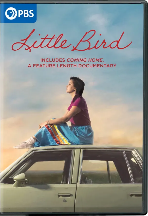 Little Bird cover