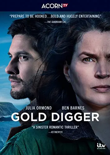 Gold Digger cover