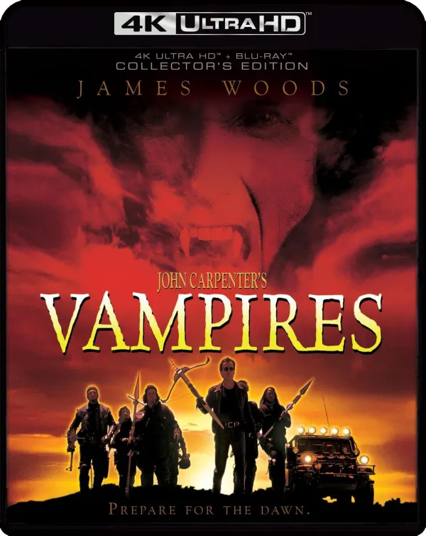 Vampires cover