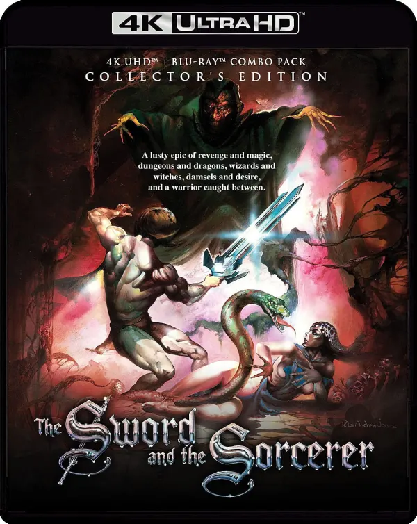 The Sword and the Sorcerer cover