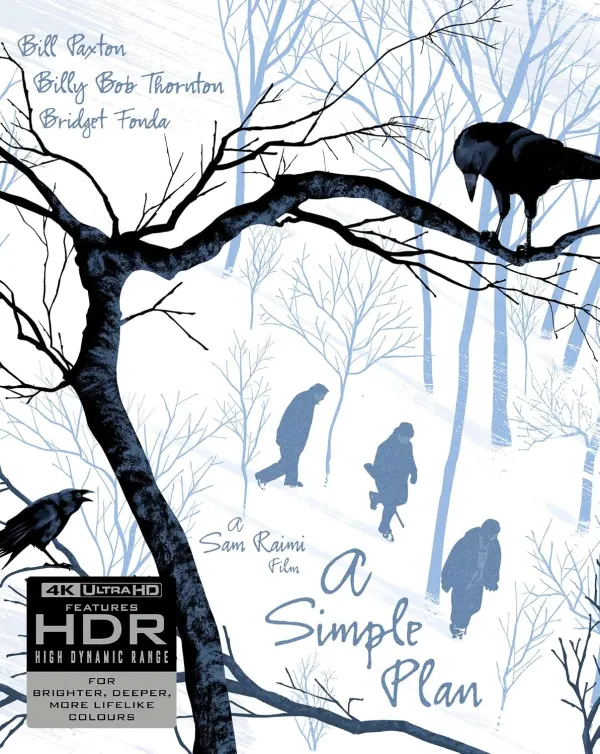 A Simple Plan cover