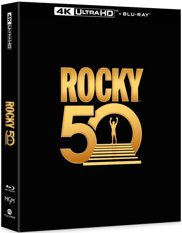 Rocky cover