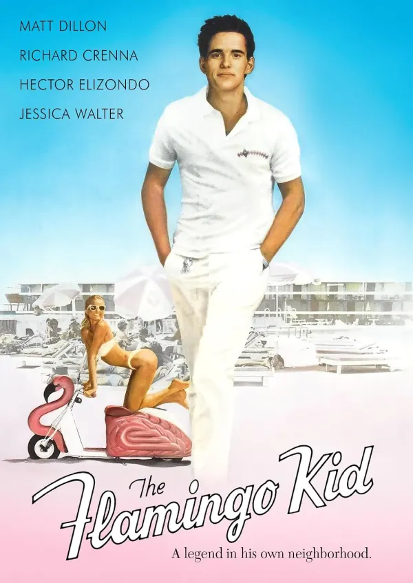 The Flamingo Kid cover