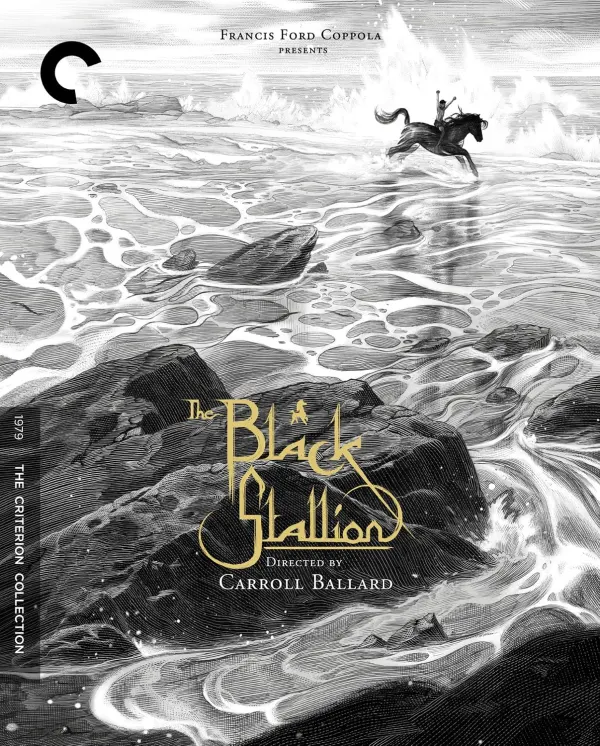 The Black Stallion cover