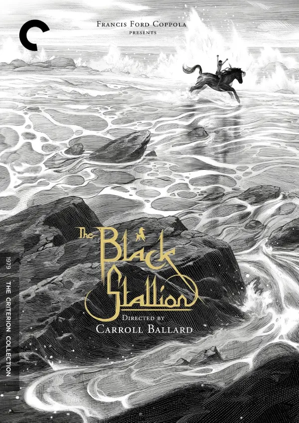 The Black Stallion cover