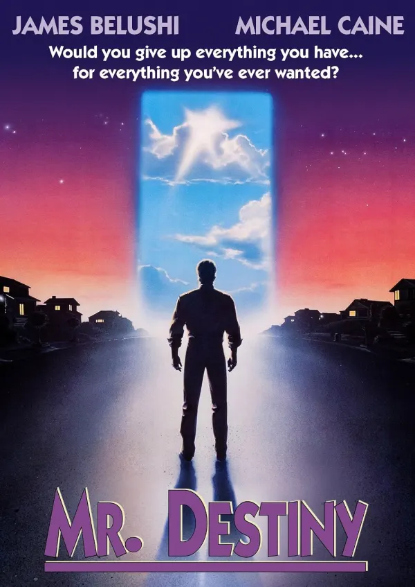 Mr. Destiny cover