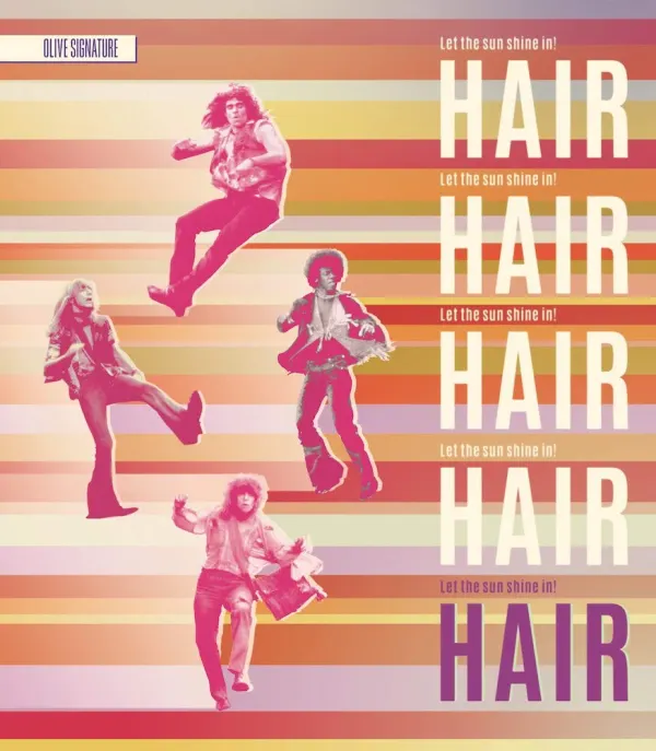 Hair cover