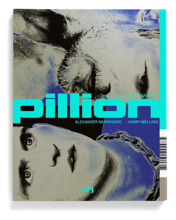 Pillion cover