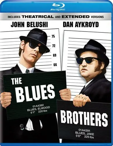 The Blues Brothers cover