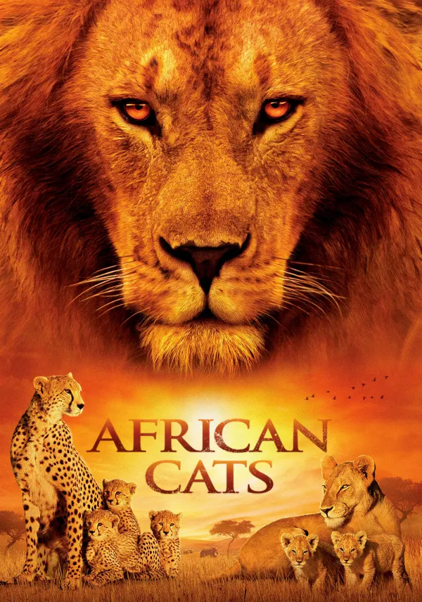 African Cats poster