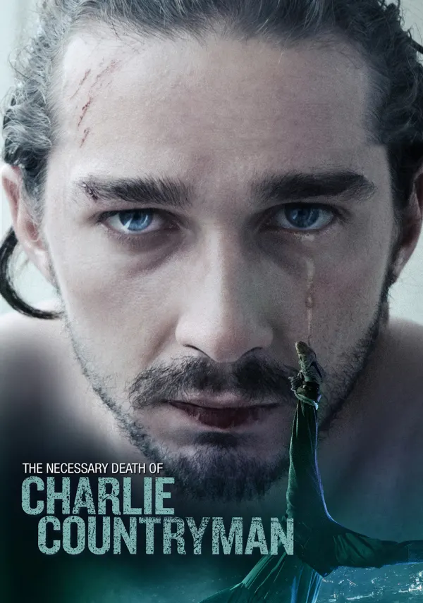 Charlie Countryman poster