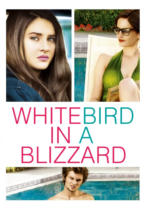 White Bird in a Blizzard poster