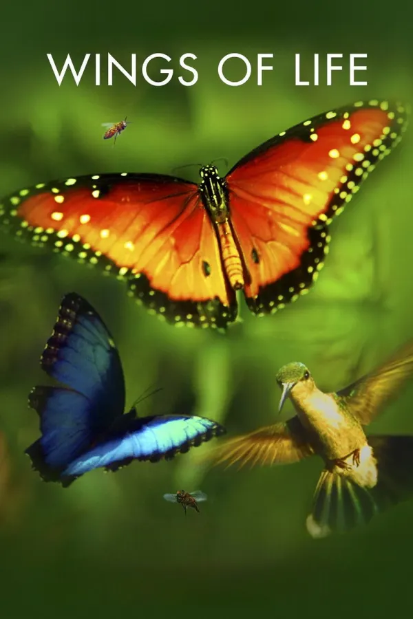 Wings of Life poster