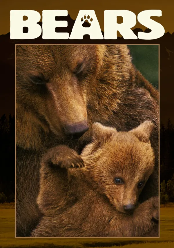 Bears poster
