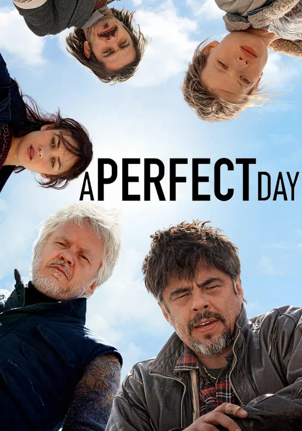A Perfect Day poster