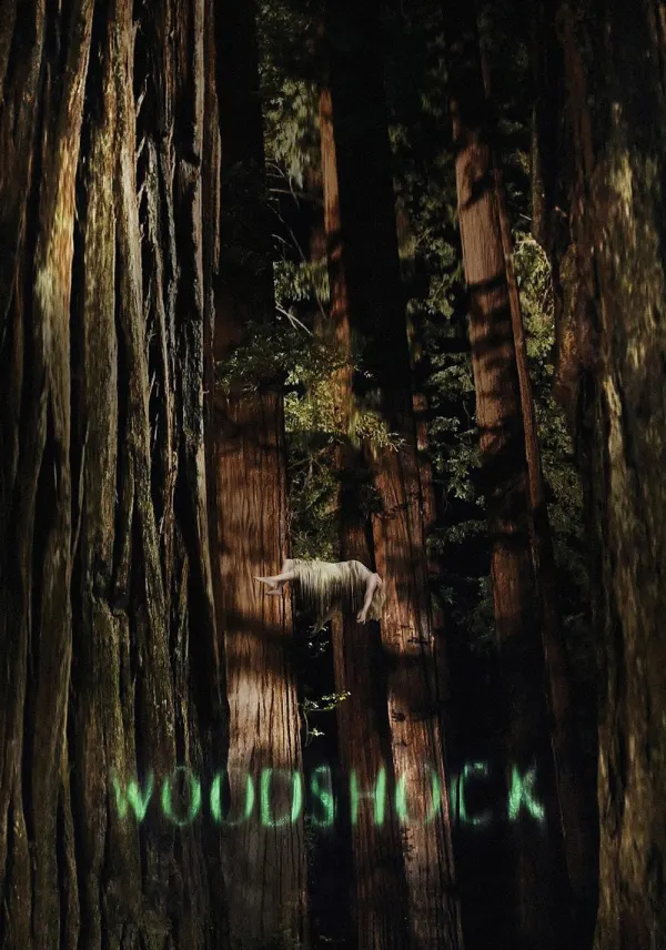 Woodshock poster