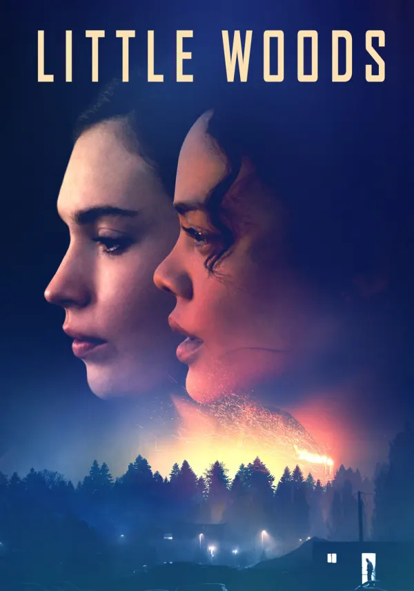 Little Woods poster