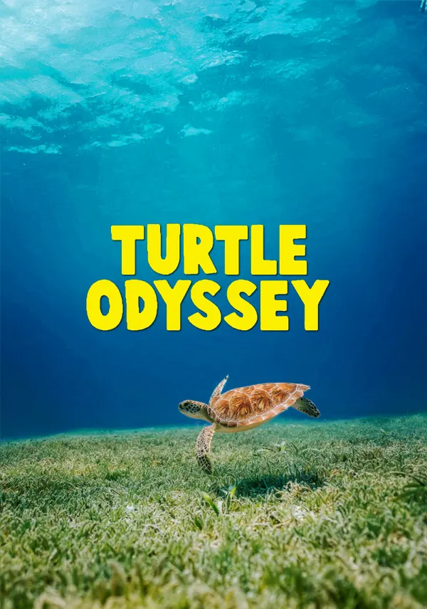 Turtle Odyssey poster
