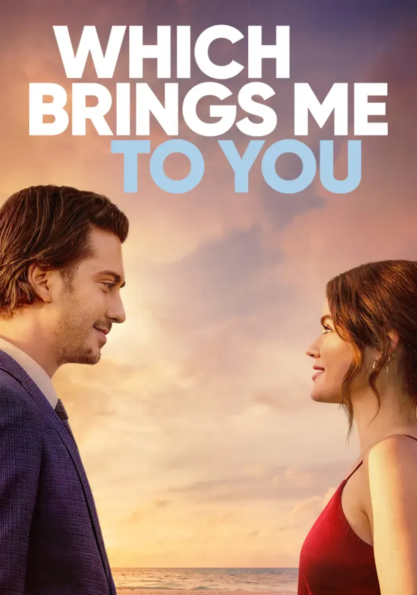 Which Brings Me to You poster