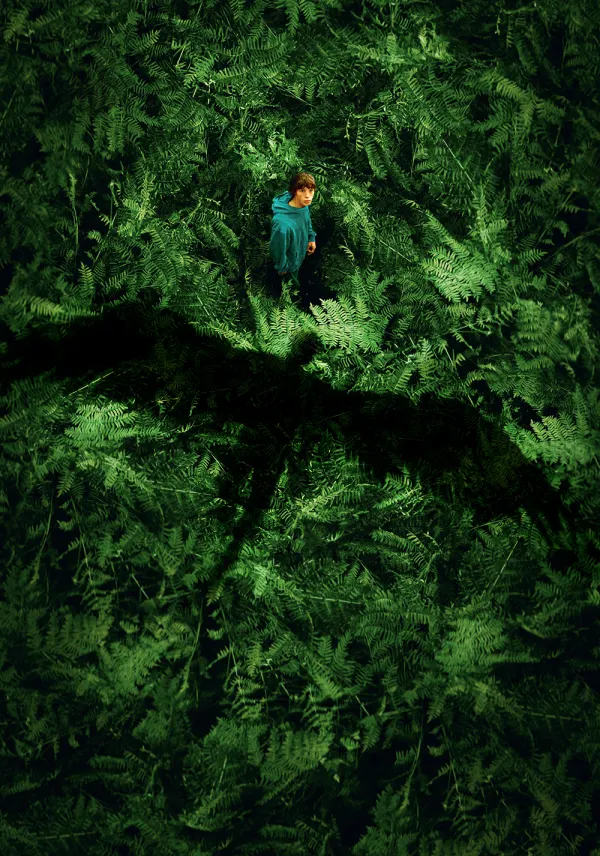 The Animal Kingdom poster