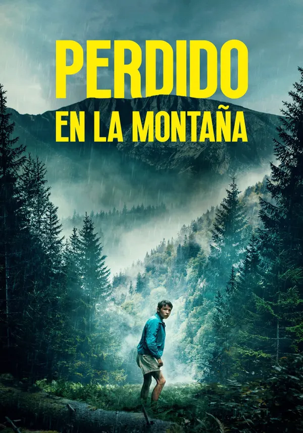Lost on a Mountain in Maine poster