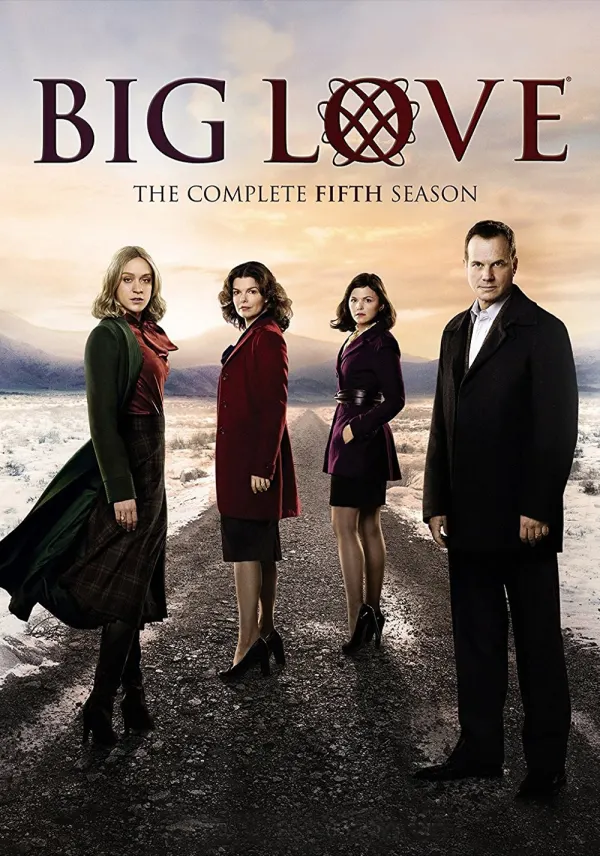 Big Love poster