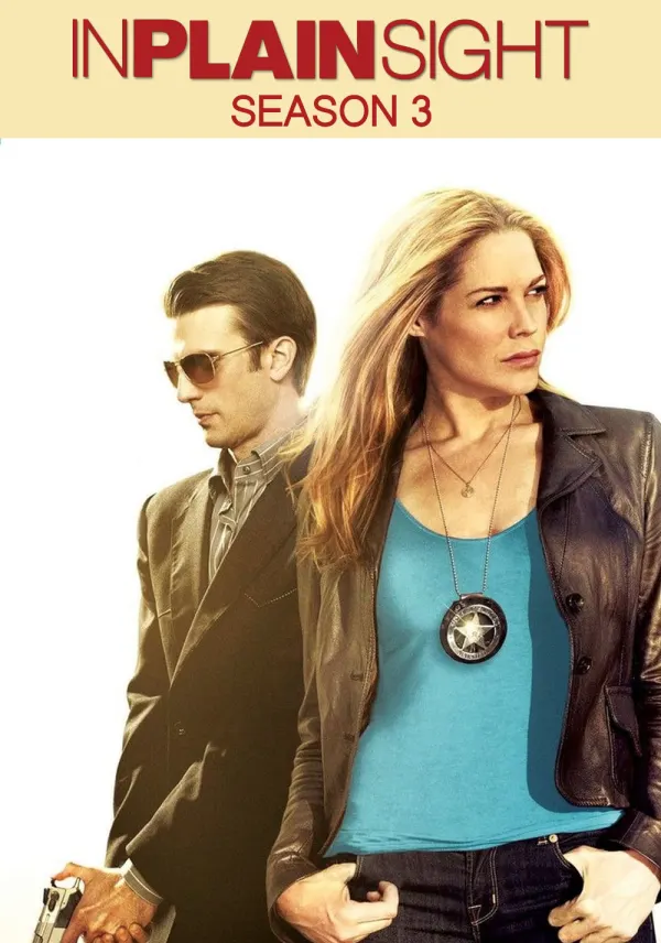 In Plain Sight poster