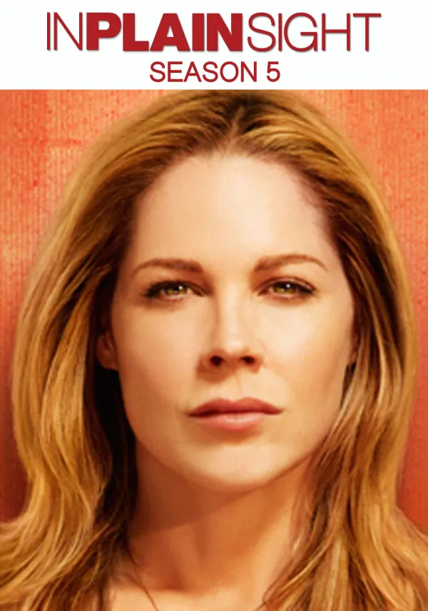 In Plain Sight poster