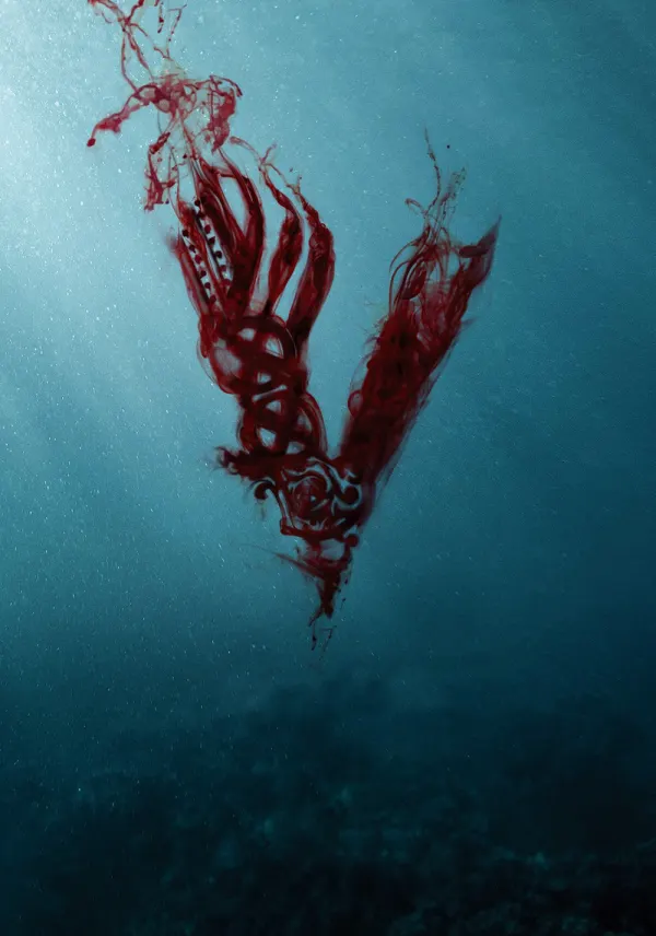 Vikings poster