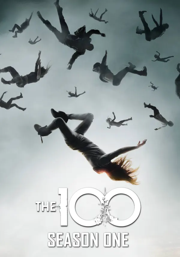 The 100 poster