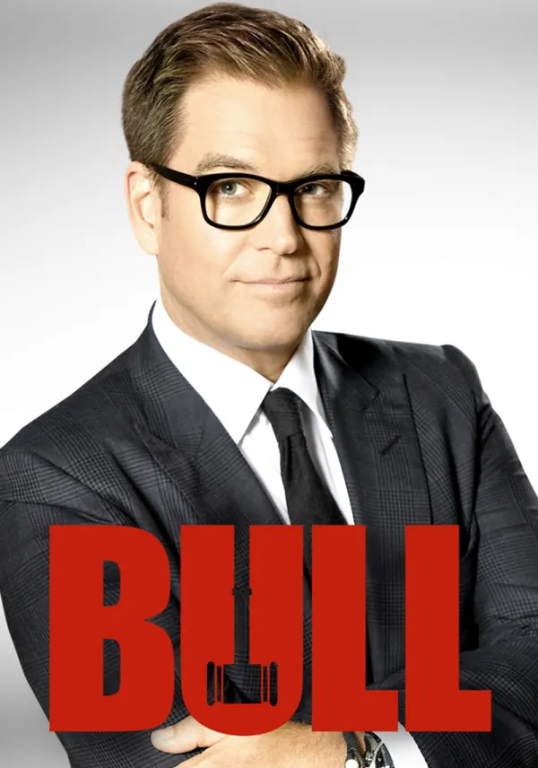 Bull poster