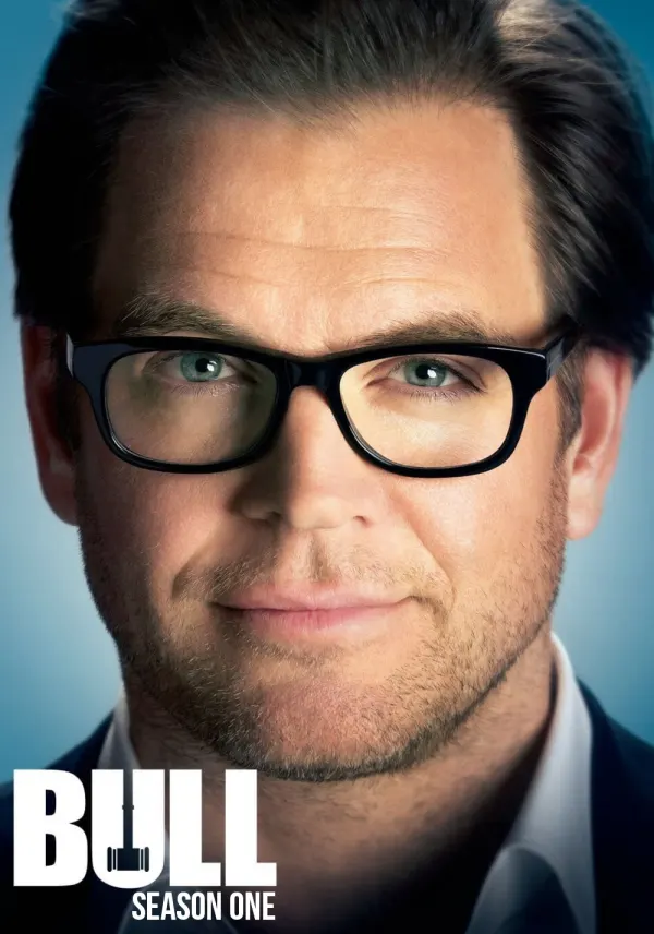 Bull poster