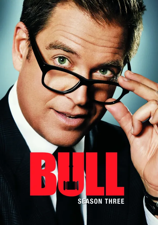 Bull poster